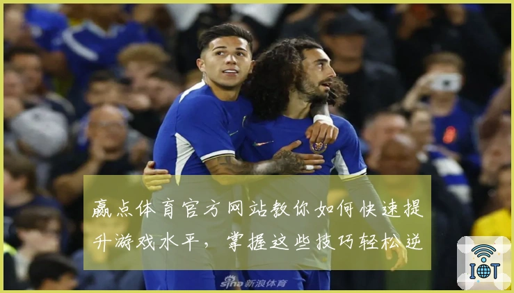 赢点体育官方网站教你如何快速提升游戏水平，掌握这些技巧轻松逆风翻盘