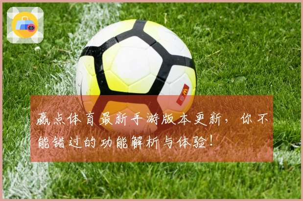 赢点体育最新手游版本更新，你不能错过的功能解析与体验！