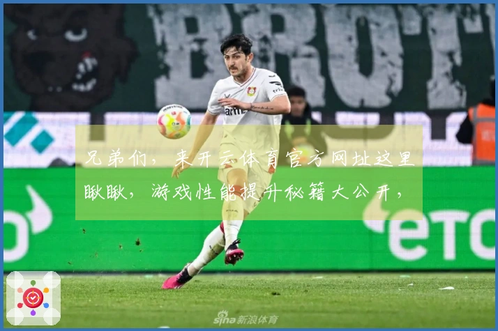 兄弟们，来开云体育官方网址这里瞅瞅，游戏性能提升秘籍大公开，流畅度直接起飞！