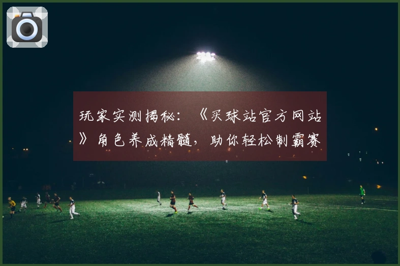 玩家实测揭秘：《买球站官方网站》角色养成精髓，助你轻松制霸赛场