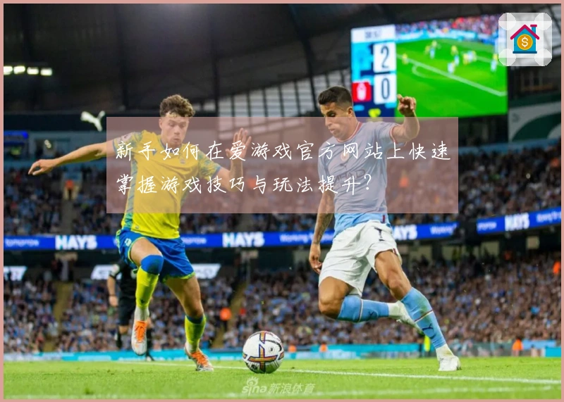 新手如何在爱游戏官方网站上快速掌握游戏技巧与玩法提升？