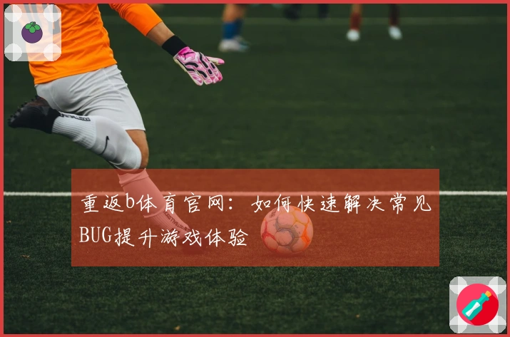 重返b体育官网：如何快速解决常见BUG提升游戏体验